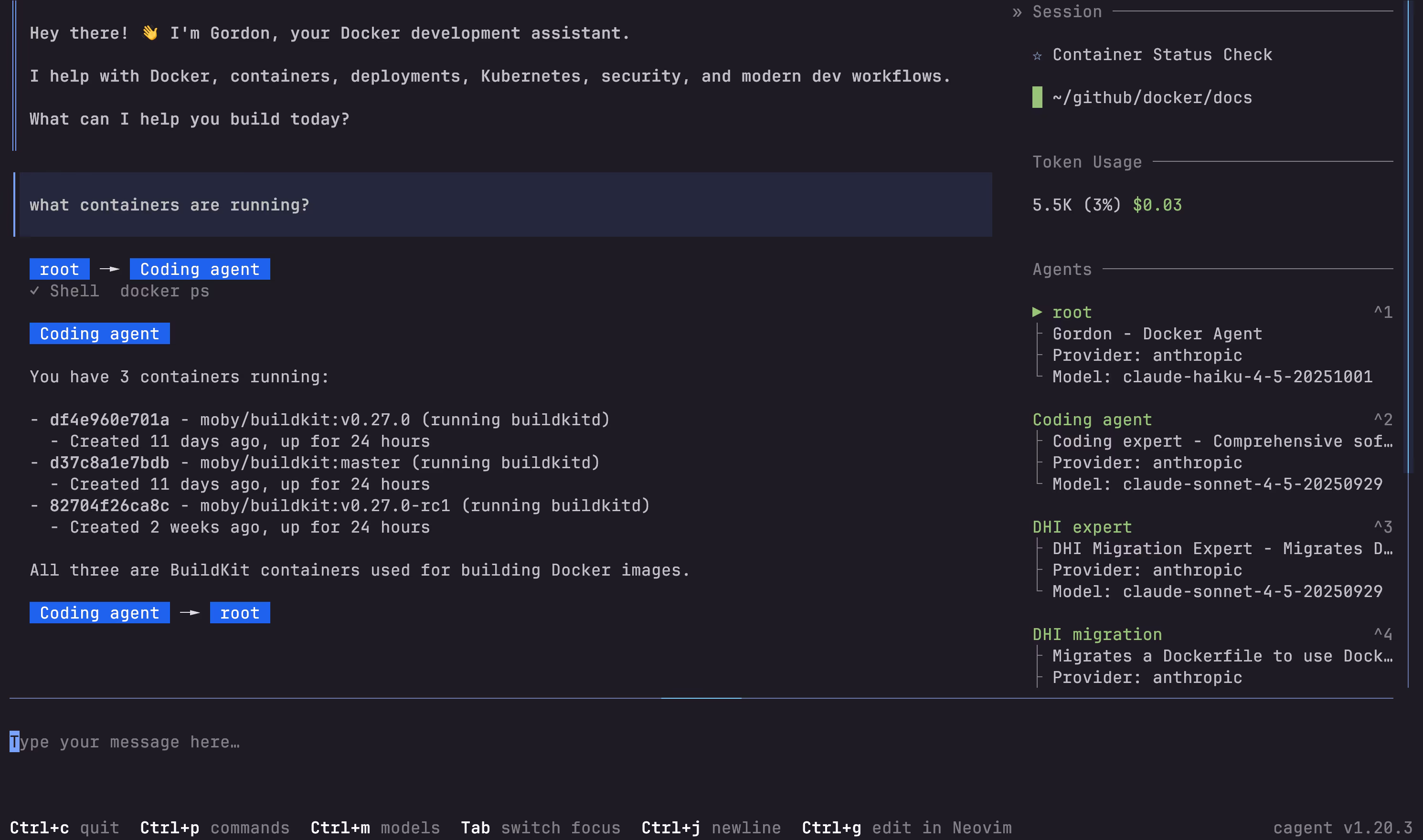 Gordon running in the terminal