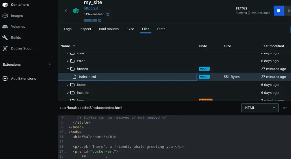 A screenshot of Docker dashboard showing the mounted files inside the a container