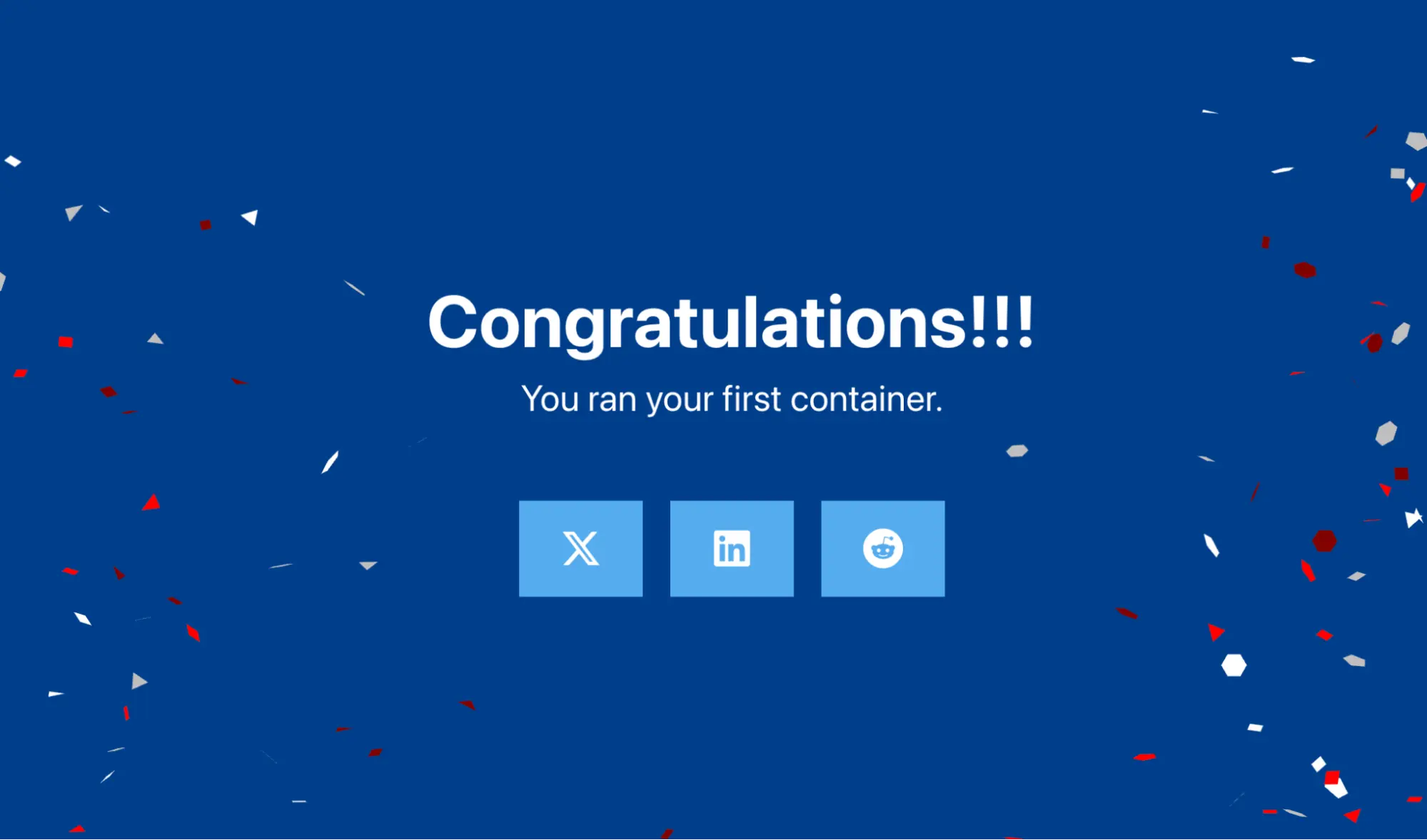 Screenshot of the landing page coming from the running container