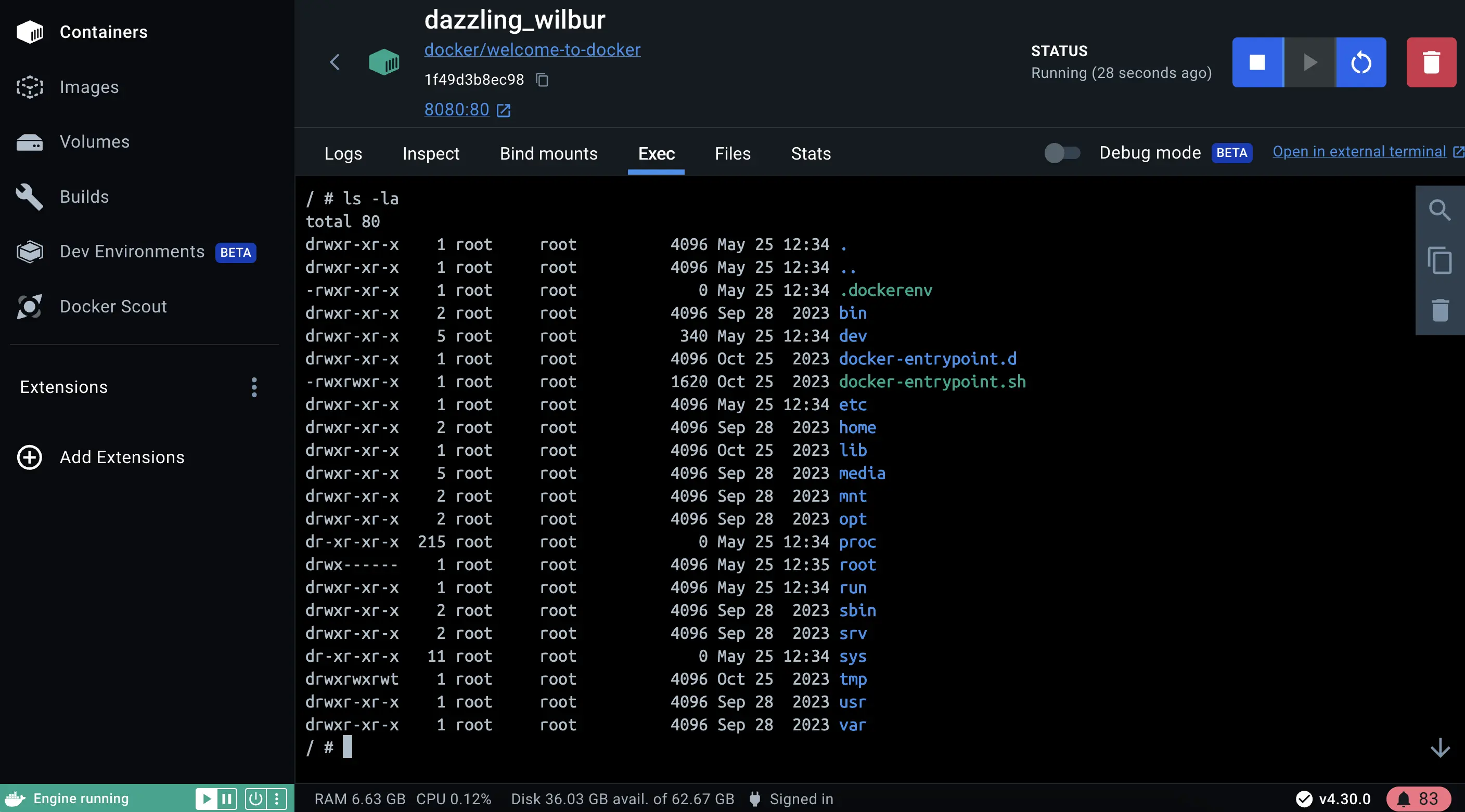 Screenshot of exec into the running container in Docker Desktop